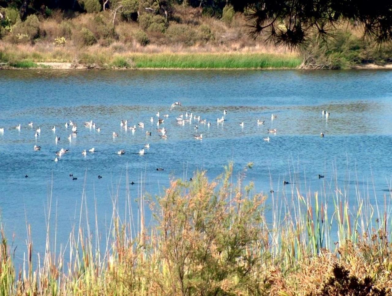 Paqo Lodge Laguna Del Portil, A 400 Metros De La Playa Экстерьер фото
